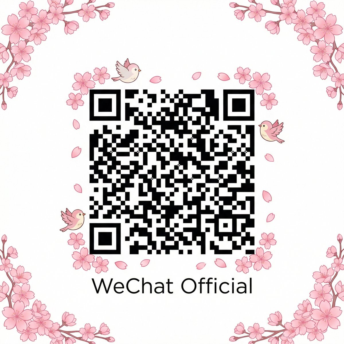 母狗官网公众号二维码